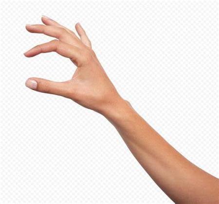Female Hand.jpg